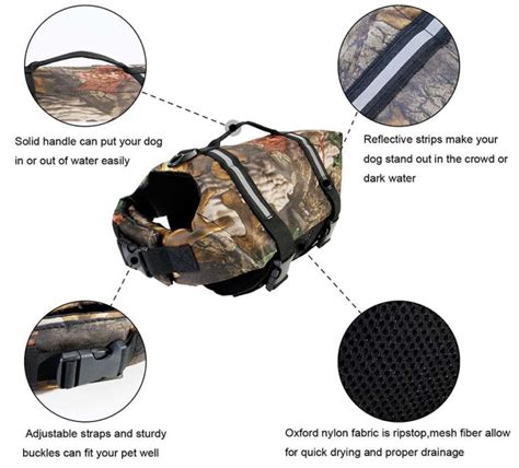 6 Best Dog Hunting Vest Brands of 2020 (And Your Buyer's Guide)