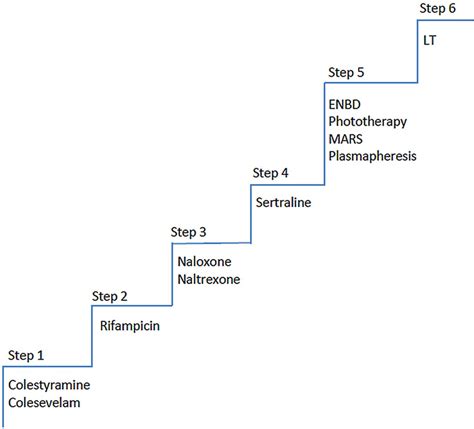 A systematic approach to the management of cholestatic pruritus in primary biliary cirrhosis ...