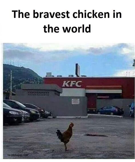 Kfc Gang Pictures And Jokes Funny Pictures Best Jokes - vrogue.co