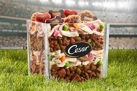 CESAR debuts new dog food menu concept | Pet Food Processing