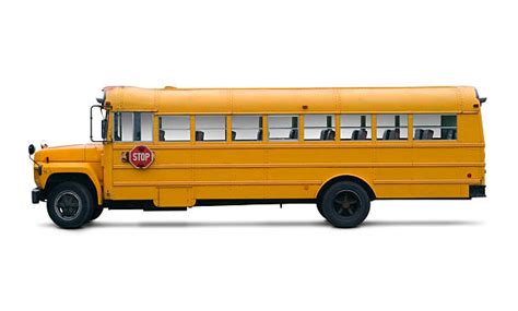 Royalty Free School Bus Pictures, Images and Stock Photos - iStock