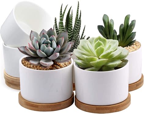 Succulent Planter Pot Set of 2 Home & Living Indoor Planters etna.com.pe