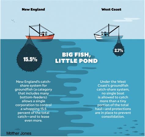 The Codfather, the Tragedy of the Commons, and Overfishing