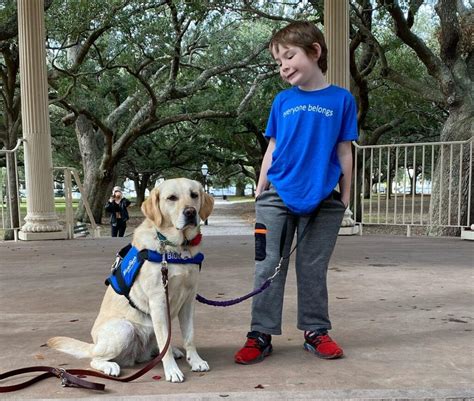 Autism Service Dogs - BluePath Service Dogs