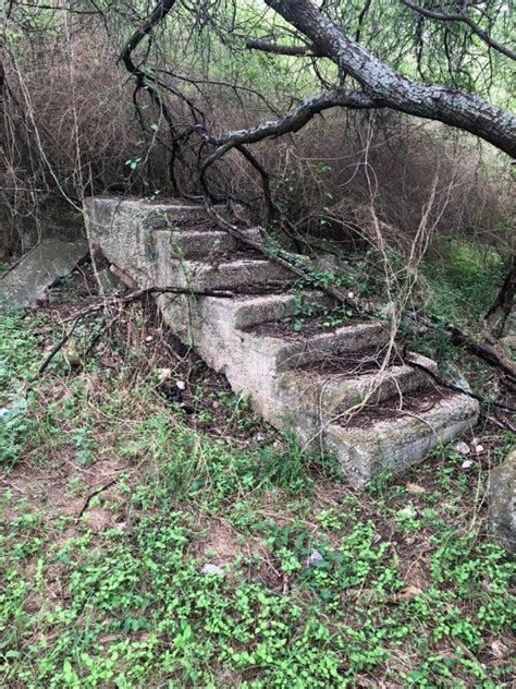 I found a staircase in the woods : mildlyinteresting | Stairs in the ...