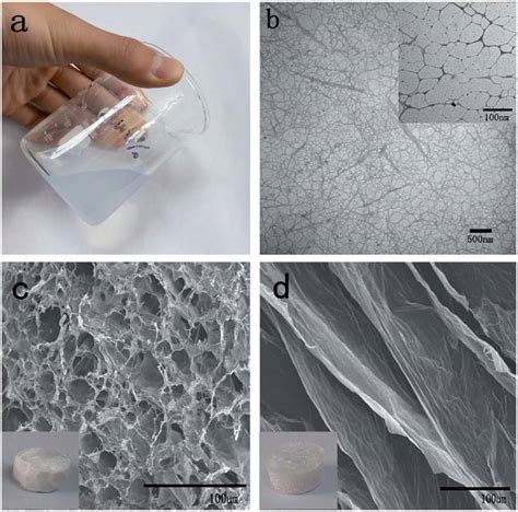 (a) The highly viscous dispersions of 1 wt% cellulose gel. (b) TEM... | Download Scientific Diagram