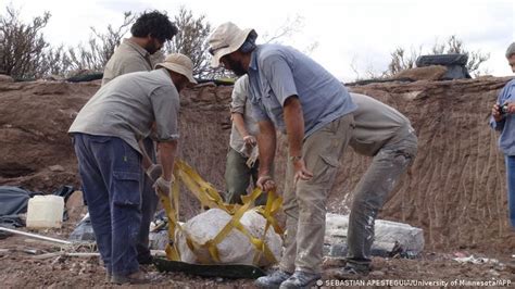 Argentina: Scientists discover giant dinosaur ′Meraxes′ | Latin America | DW | 07.07.2022