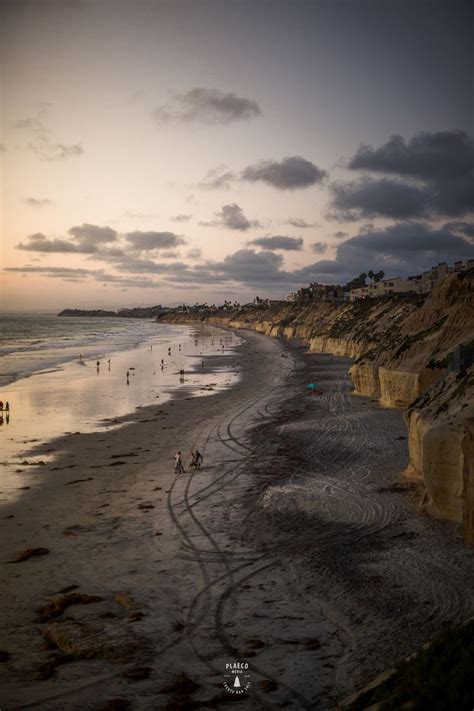 Del Mar Dog Beach | Beach, Dog beach, Del mar