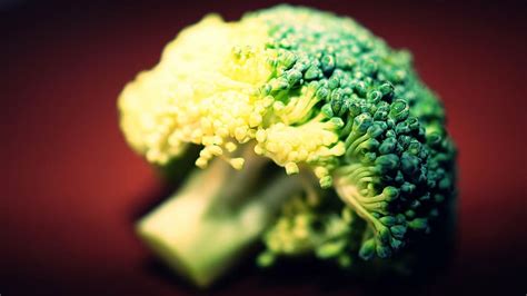 green broccoli, food, photography, broccoli, raw, fresh, vegetation, green, cook, recipe | Pxfuel