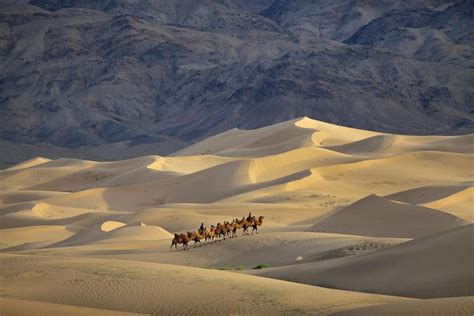 Mongolia - Photo by Timothy Allen | Desert places, Desert travel ...