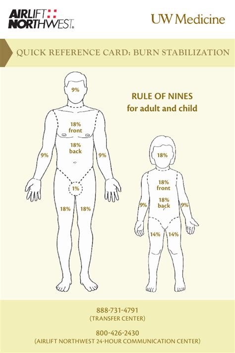 [DIAGRAM] Rule Of 9s Diagram - MYDIAGRAM.ONLINE