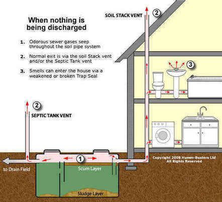 why do SEPTIC TANK VENT PIPES SMELL? EXPERT ANSWERS & SOLUTIONS