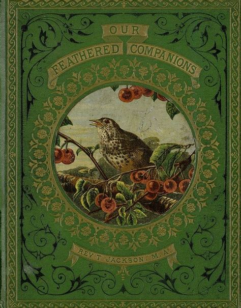 187 best Book Covers images on Pinterest | Antique books, Cover books and Vintage book covers