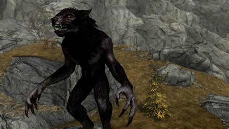 Skyrim Just a Werewolf by JCRPrints on DeviantArt