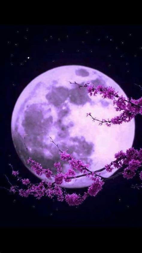 Purple Moon | Moon photography, Moon pictures, Purple aesthetic