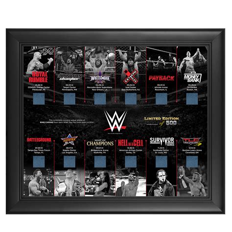 Image - Framed 2014 Pay-Per-View Ring Canvas Commemorative Plaque.jpg ...