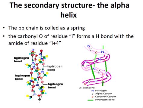 Kenya Forensics Online Resource: Basic Biochemistry