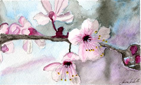 Cherry Blossom Watercolor by jimscard on DeviantArt