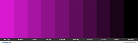 Dark Violet Color Code