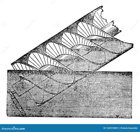 Archimedes or Archimedean Screw, Vintage Engraving Stock Vector - Illustration of history ...