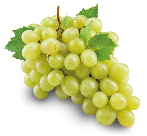 WHITE GRAPES | Green Acres Farmers Market