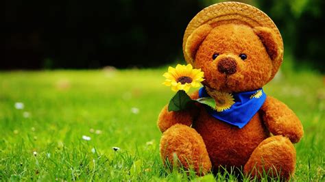 Computer Wallpapers Cute Teddy Bear – Cute Wallpapers 2024