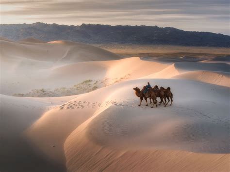 An Adventure through Mongolia’s Gobi Desert | Travel Insider