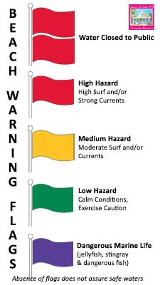 Warning Flags