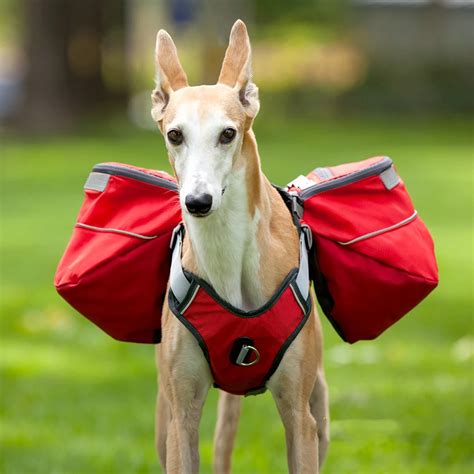 Oxford Large Dog Carrier Travel Animal Vest Harness Backpack Big Pet Protective Outdoor Walking ...