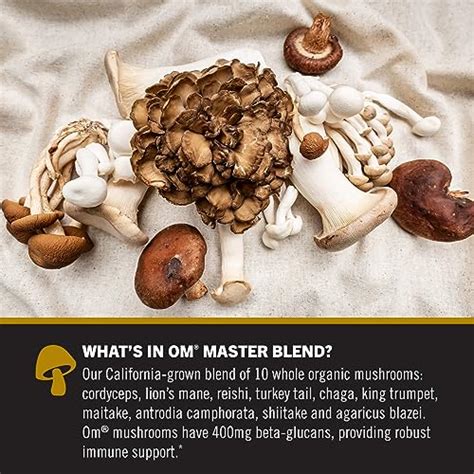 Om Mushroom Superfood Master Blend Mushrooms & Adaptogens, Powder ...