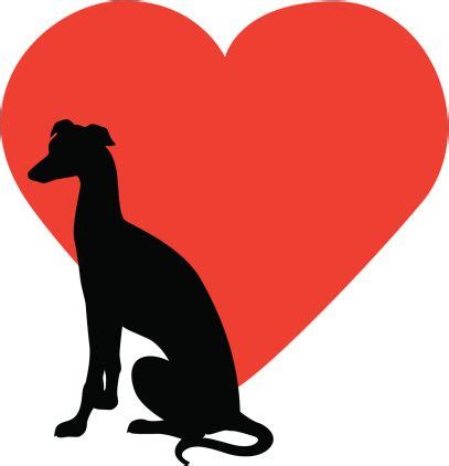 Greyhound Rescue, Greyhound Art, Italian Greyhound, Dog Vector, Free ...