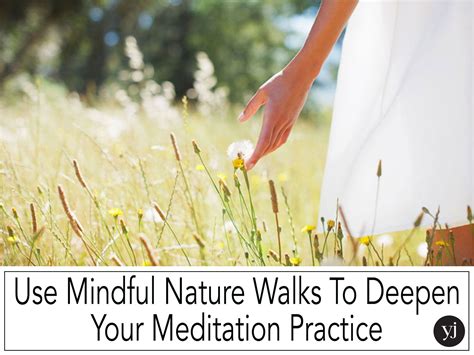 Use Mindful Nature Walks To Deepen Your Meditation Practice | Walking in nature, Meditation ...