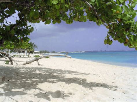 Cemetery Beach Grand Cayman Reef Snorkeling | Map And Review