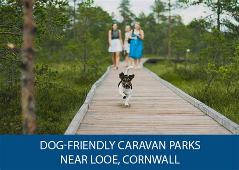 Dog-friendly caravan parks near Looe, Cornwall - Caravan Helper