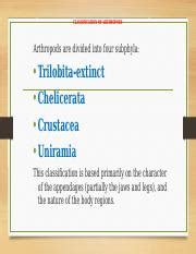 CLASSIFICATION OF ARTHROPODS.pptx - CLASSIFICATION OF ARTHROPODS ...