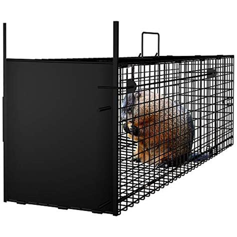 Best Raccoon Traps and Cages | WildlifeRemoval.com