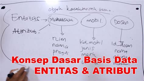 Entitas Dalam Basis Data Adalah - Entitas