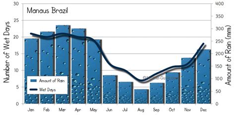 Manaus Brazil Weather Averages