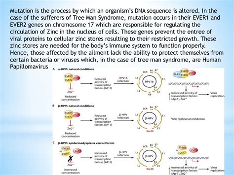 Tree-man disease (Epidermodysplasia Verruciformis)