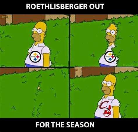 Steelers fans be like... : r/funny