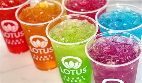 All About Lotus Energy Drinks