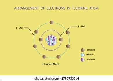 Vector Diagram Arrangement Electrons Fluorine Atom Stock Vector (Royalty Free) 1795733014 ...