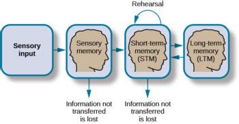 5.4 Memory Techniques – Student Success