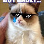 Grumpy Cat Meme Generator - Imgflip