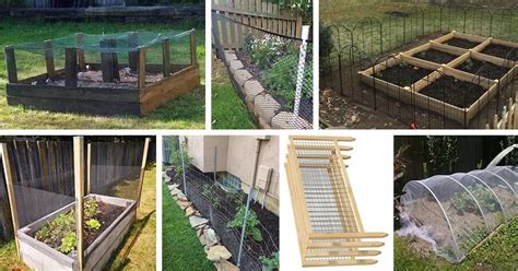 10 Vegetable Garden Fence Ideas to Protect Your Produce