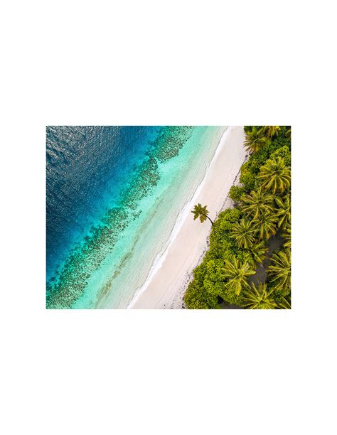 Tropical Beach, Aerial View