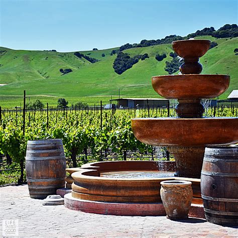 San Francisco Wine Tasting Tour - 8 Reasons To Go | Life Tastes Good