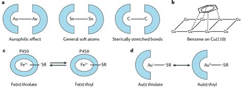 | Mechanisms by which van der Waals dispersion forces can modify ...