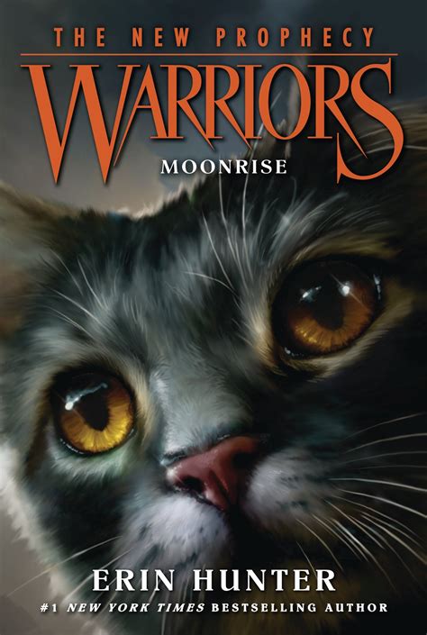 Warrior Cats Book Covers - Adazing