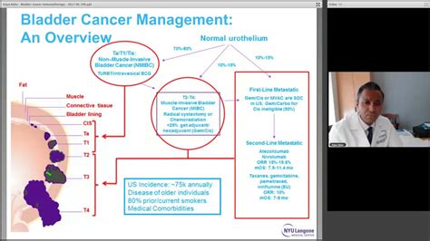 Advances in Bladder Cancer Immunotherapy, with Dr. Arjun Balar - YouTube